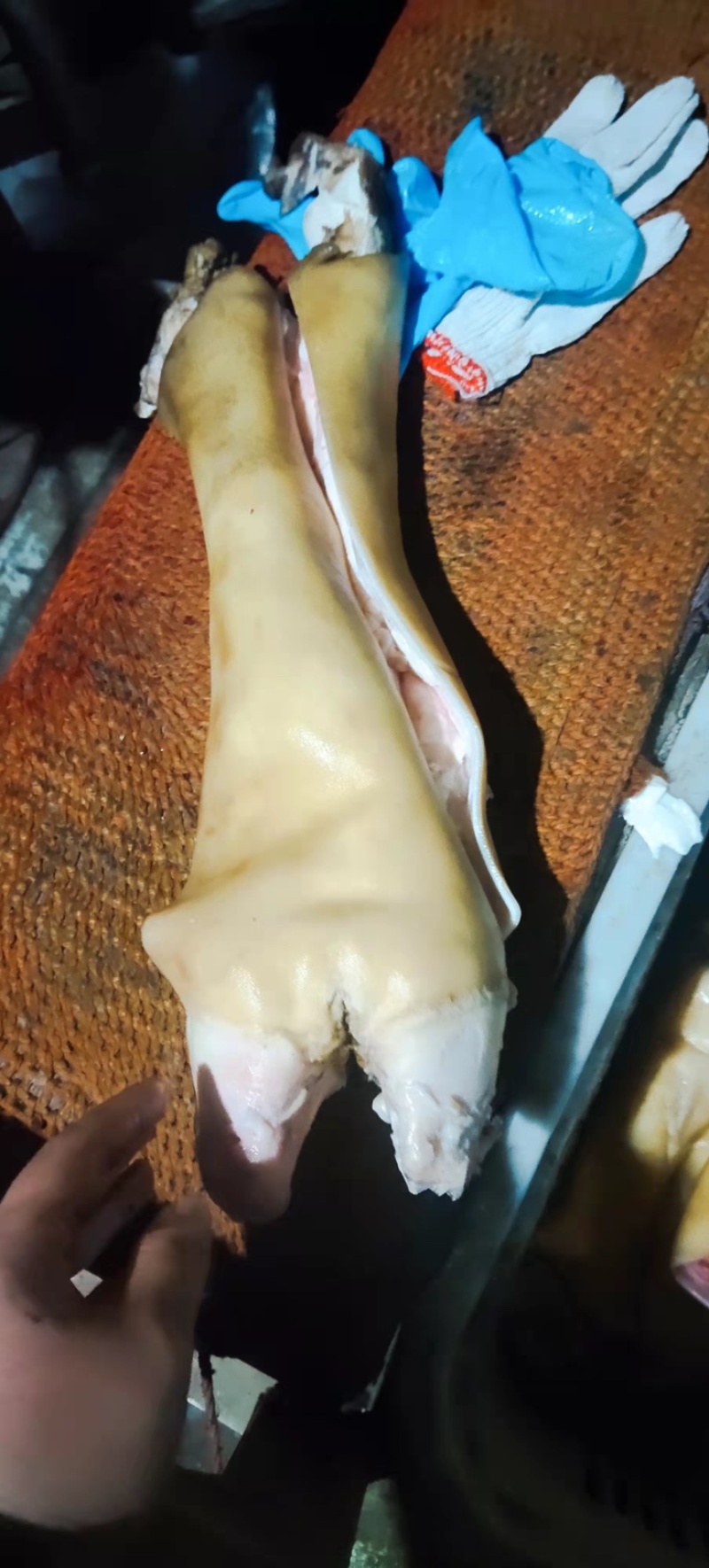 半去骨牛蹄，火烧半去骨，大公牛蹄，一手货源