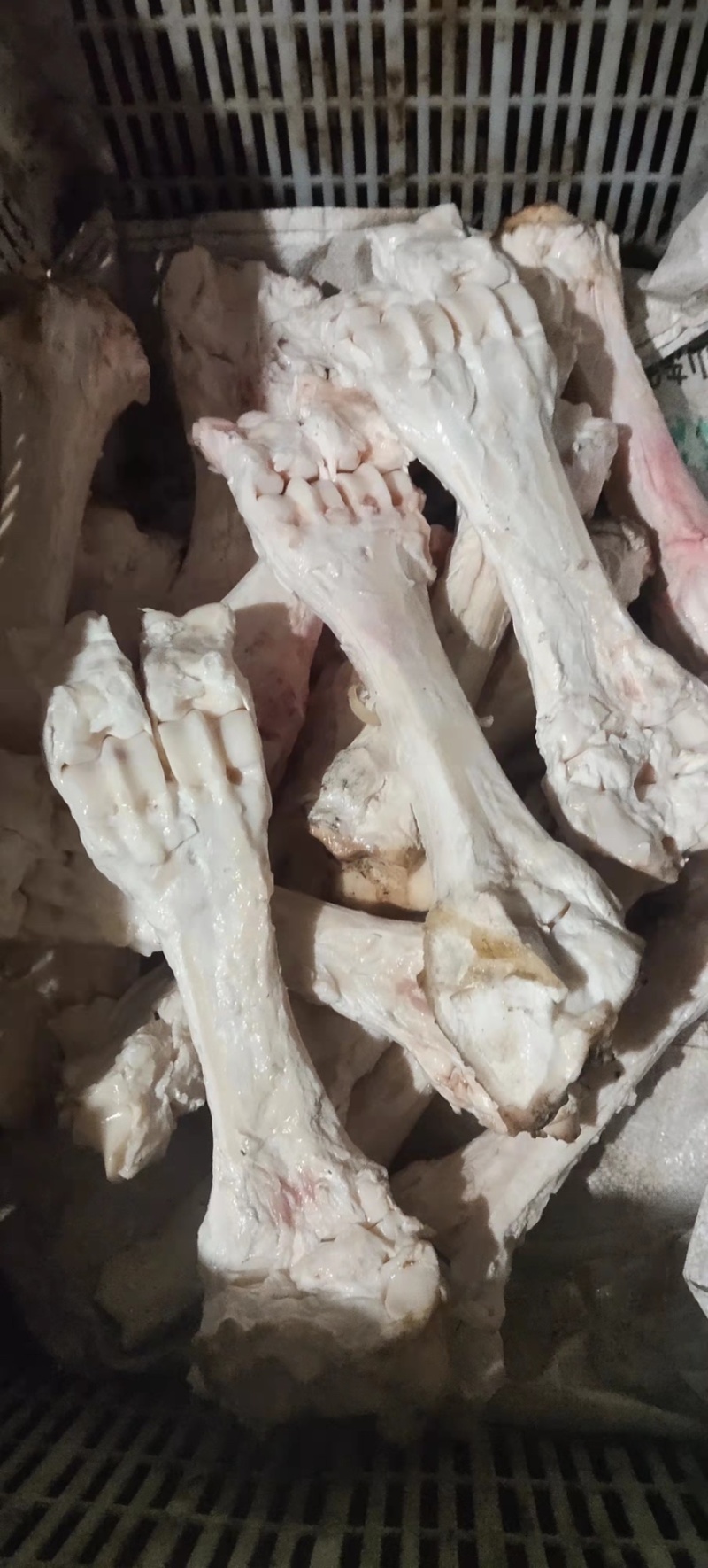 半去骨牛蹄，火烧半去骨，大公牛蹄，一手货源