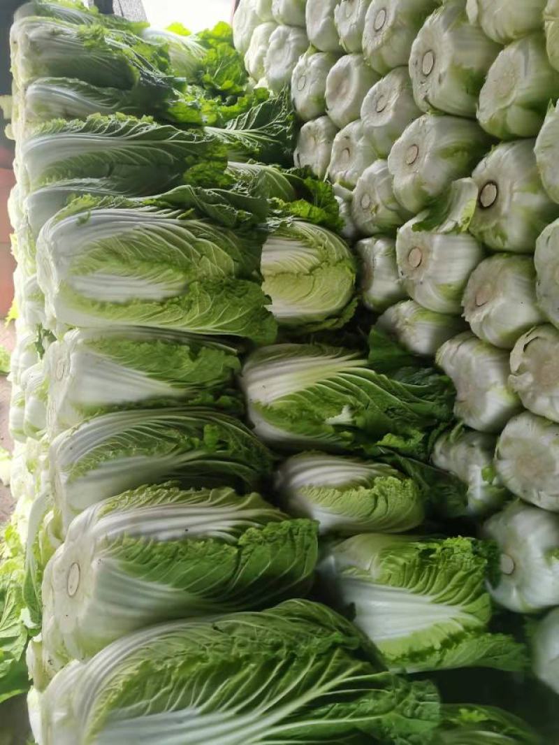 黄心白菜