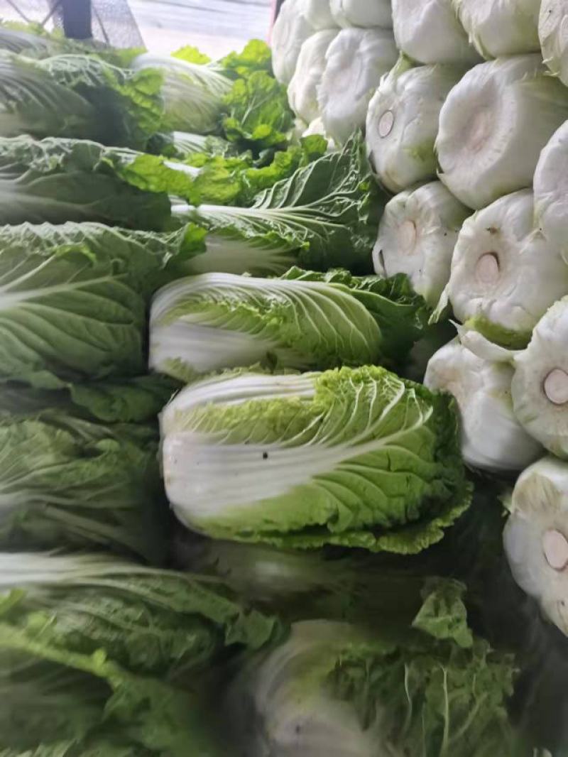 黄心白菜