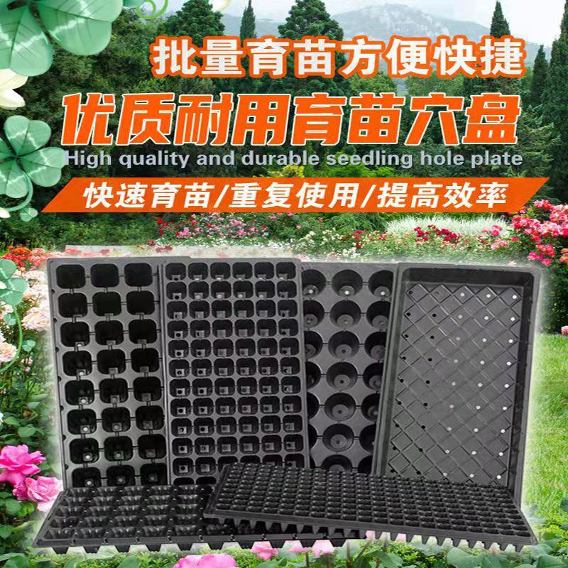 【热卖】中厚穴盘全国物流包邮。32穴50穴72穴105穴
