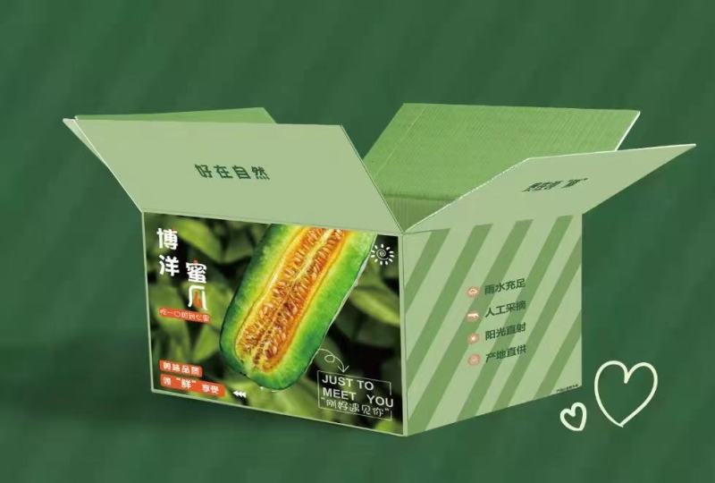 博洋9号支持一件代发，