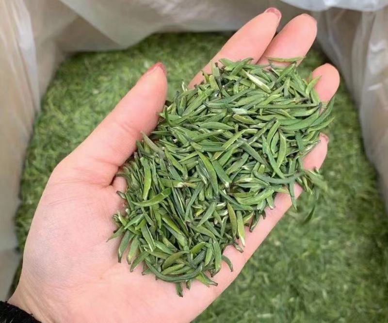 恩施绿茶2023年新茶上市富硒贡芽