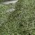 恩施绿茶2023年新茶上市富硒贡芽