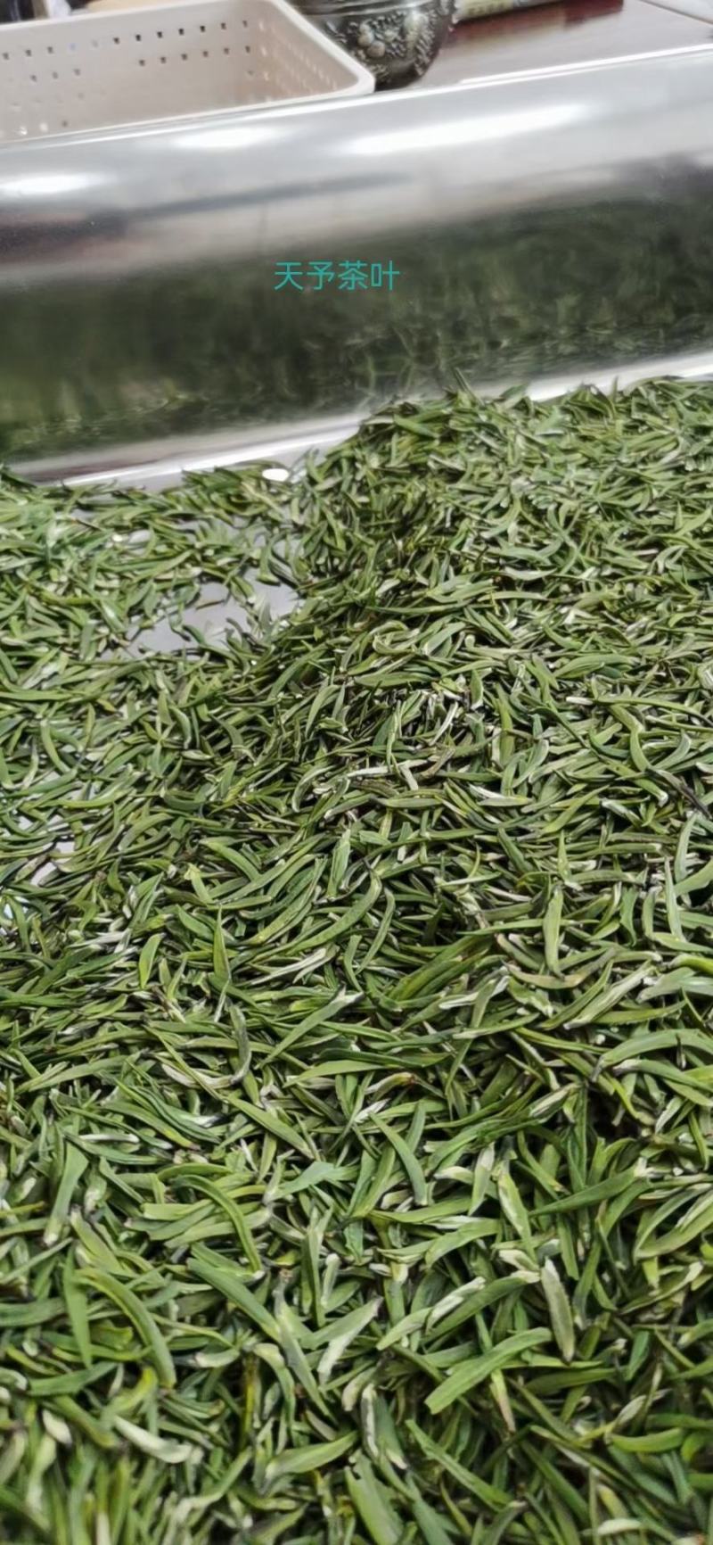 恩施绿茶2023年新茶上市富硒贡芽