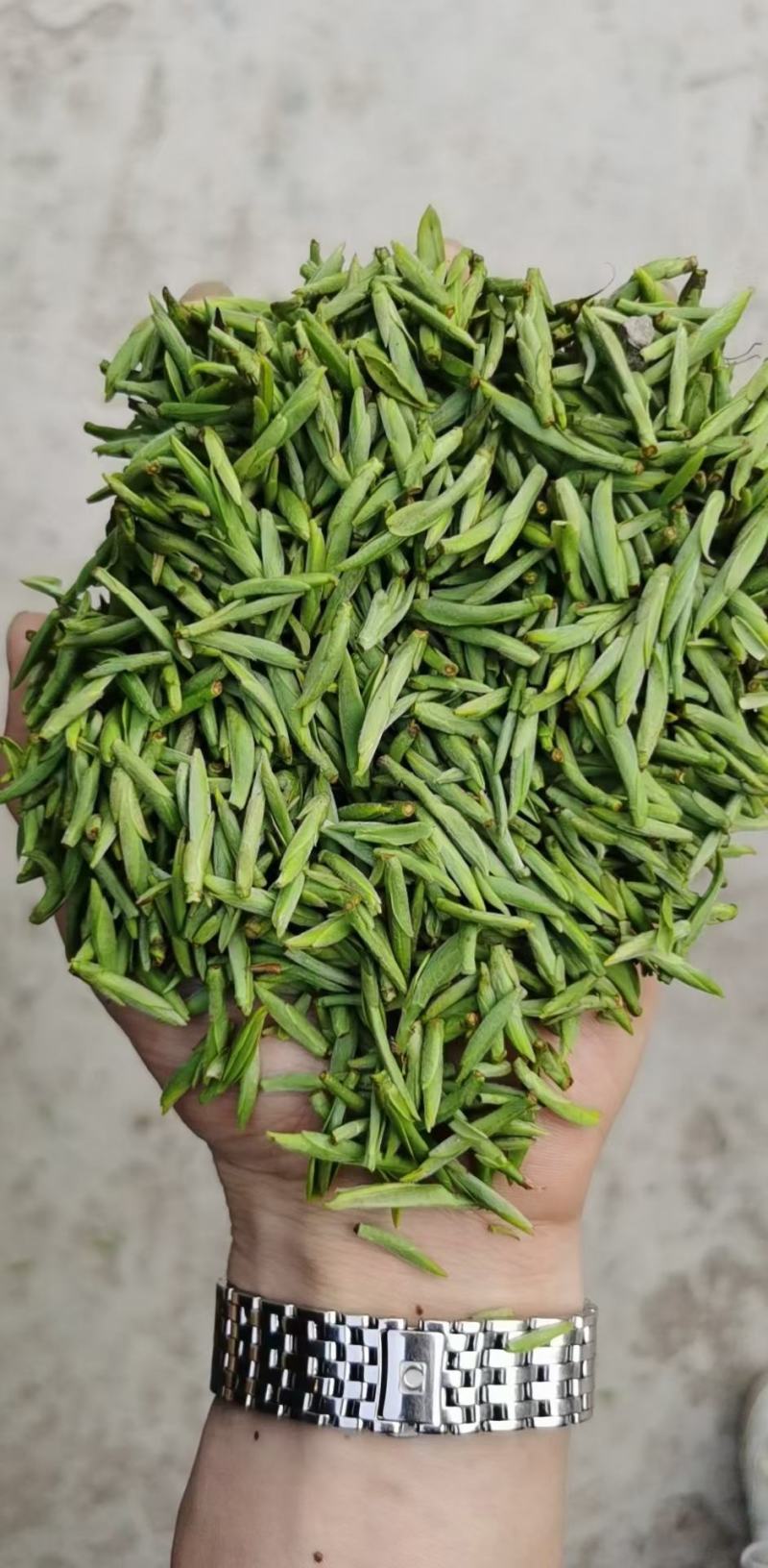 恩施绿茶2023年新茶上市富硒贡芽