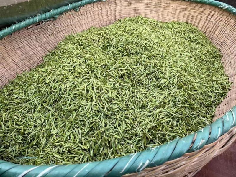 恩施绿茶2023年新茶上市富硒贡芽