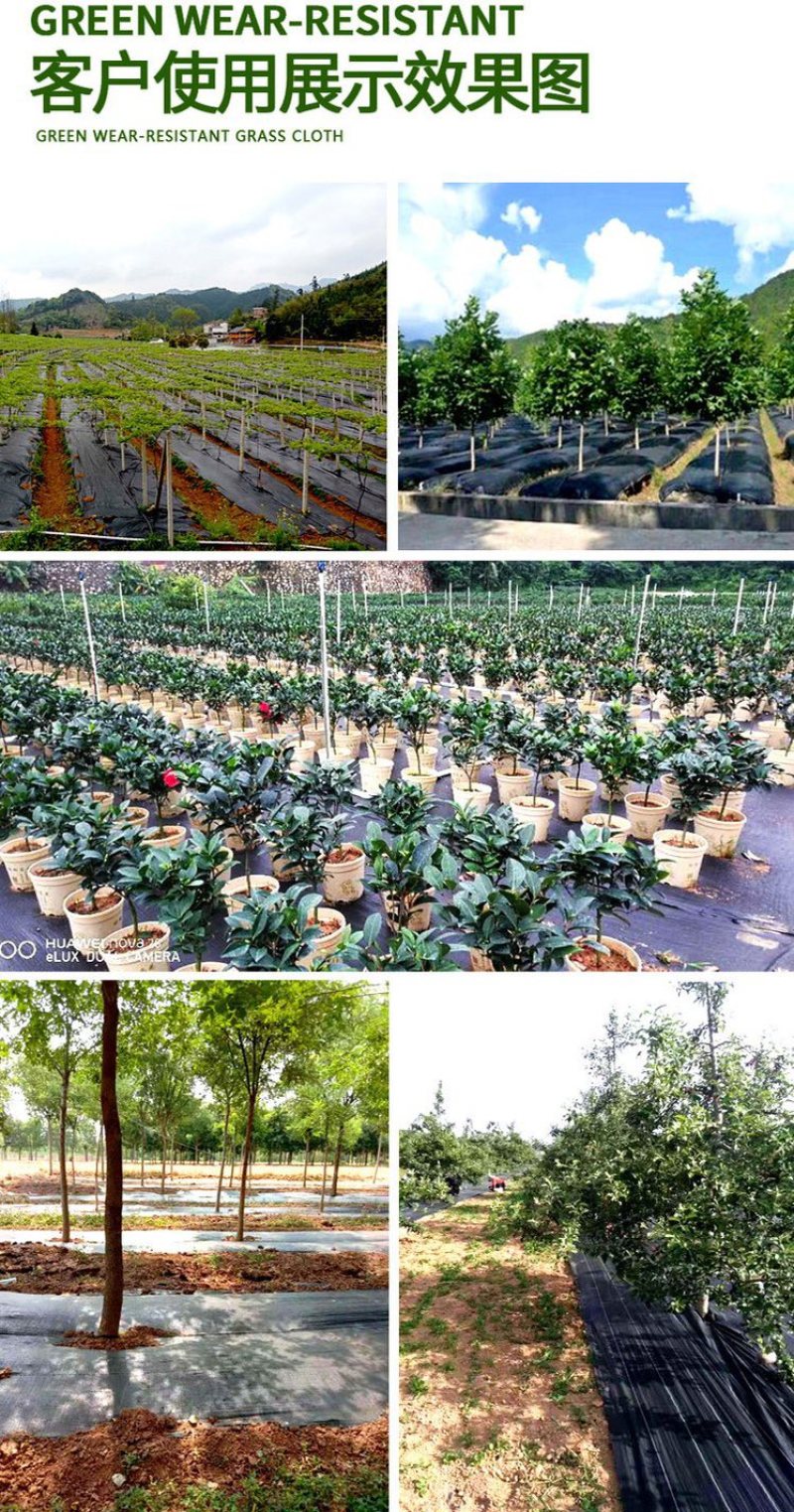 防草布除草布盖草布地布果园专用打孔切片黑色pp80克