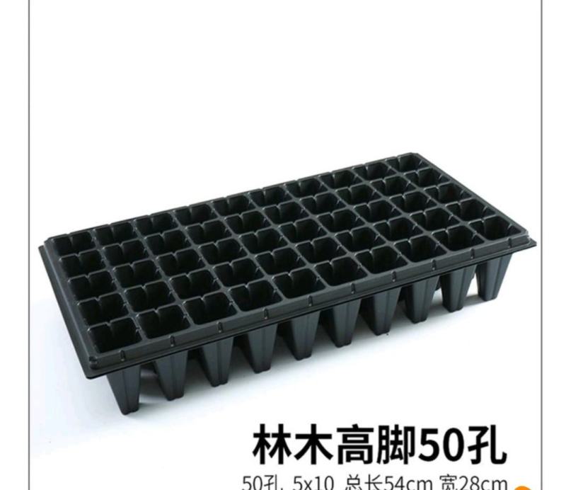 【强推】草莓穴盘，林木穴盘，厂家发货！一手货源，可致电！
