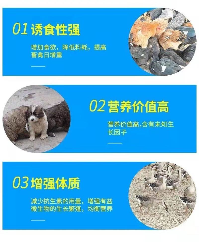 秘鲁超级进口鱼粉68蛋白鸡鸭鹅狐水产养殖鱼虾猪用养猪场饲