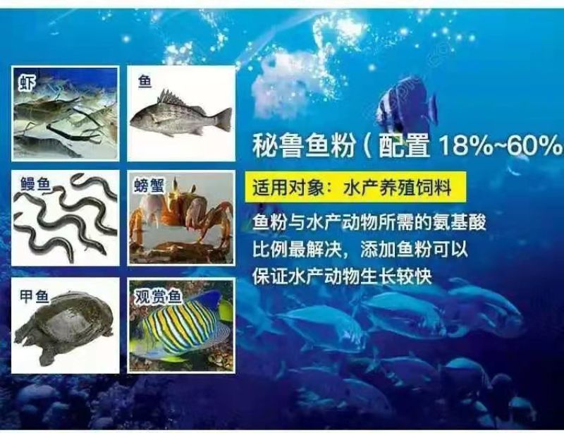 秘鲁超级进口鱼粉68蛋白鸡鸭鹅狐水产养殖鱼虾猪用养猪场饲