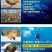 秘鲁超级进口鱼粉68蛋白鸡鸭鹅狐水产养殖鱼虾猪用养猪场饲