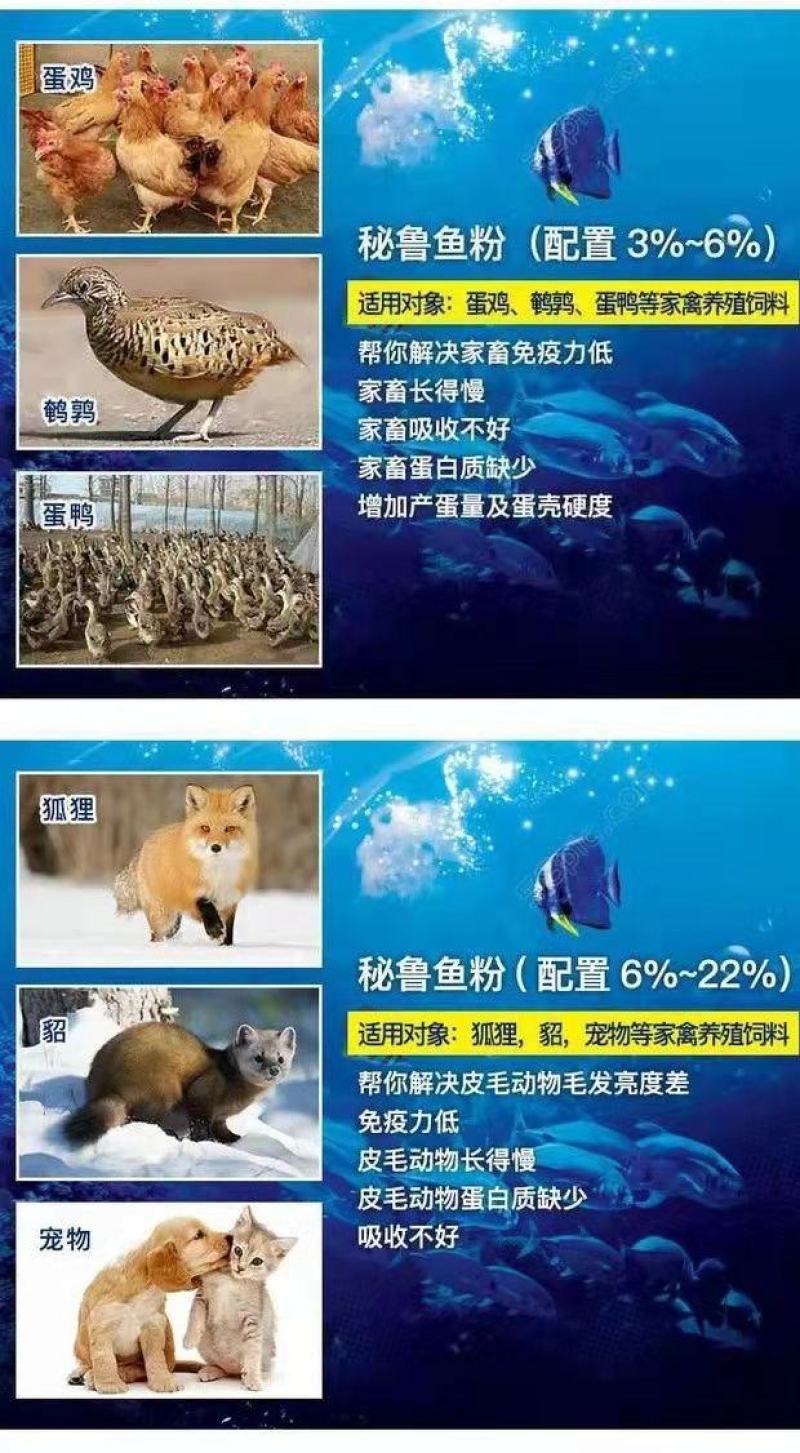 秘鲁超级进口鱼粉68蛋白鸡鸭鹅狐水产养殖鱼虾猪用养猪场饲