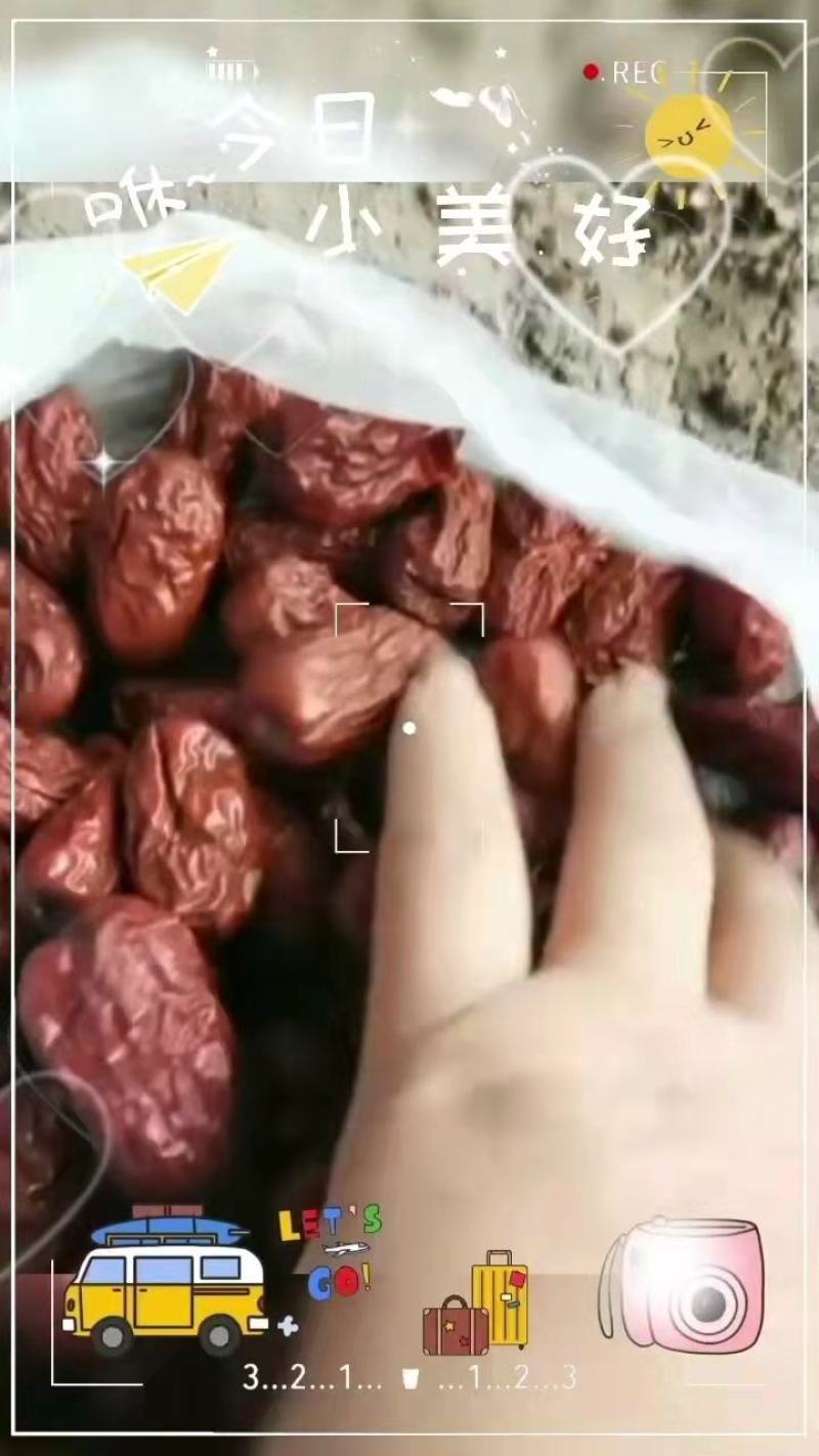 枣粉饲料养殖牛羊猪家禽兽用高蛋白饲料级红枣粉国产枣粉厂家