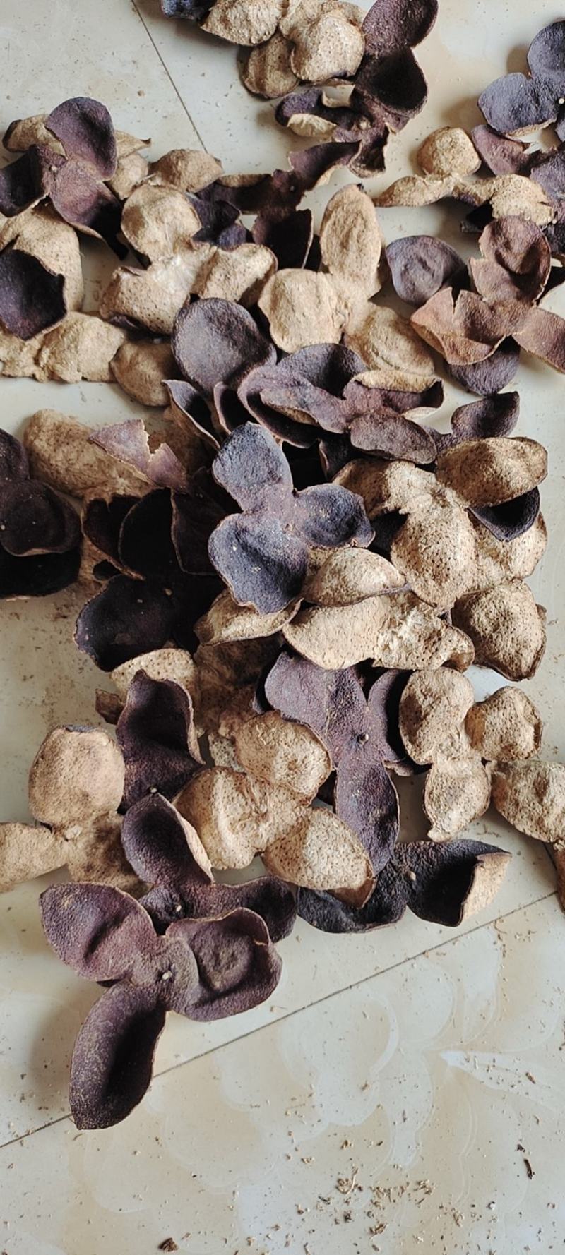 精选！新会老陈皮滋补药材橘子皮特色农产品厂家批发