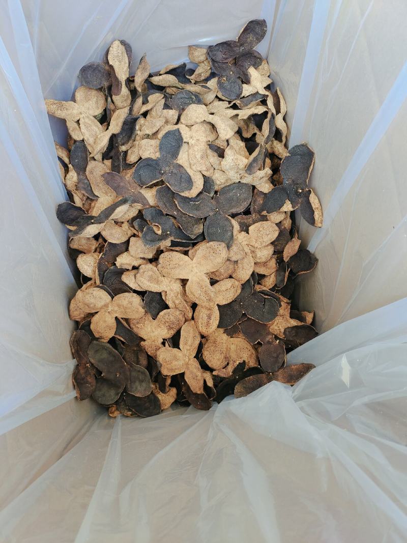 精选！新会老陈皮滋补药材橘子皮特色农产品厂家批发
