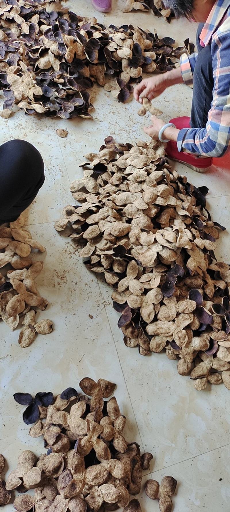 精选！新会老陈皮滋补药材橘子皮特色农产品厂家批发