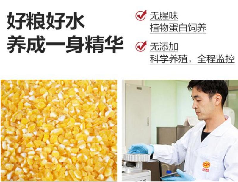 正大金粉伴翅