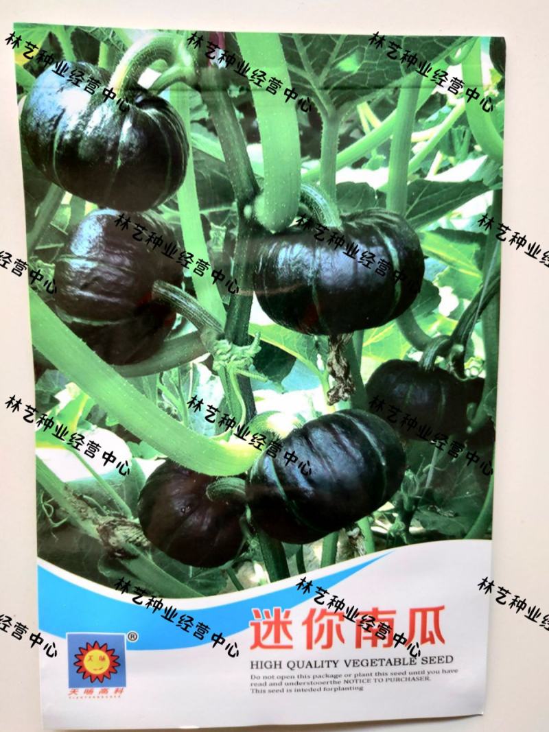 高产迷你小南瓜种子日本红板栗味农家庭园四季播种蔬菜种籽