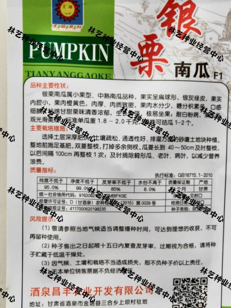 银栗南瓜种子新疆白皮银栗南瓜种籽板栗味香甜粉糯蔬菜四季