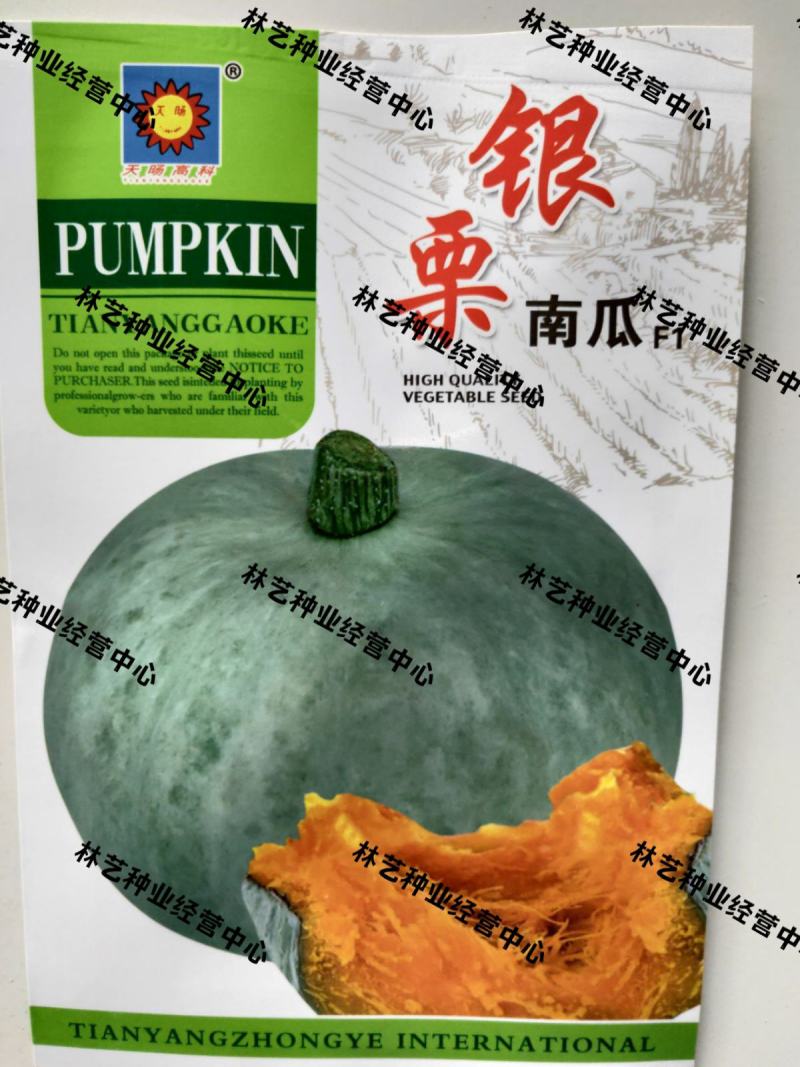 银栗南瓜种子新疆白皮银栗南瓜种籽板栗味香甜粉糯蔬菜四季