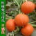 高产红蜜板栗南瓜种子贝贝南瓜种籽春秋季香甜糯四季蔬菜