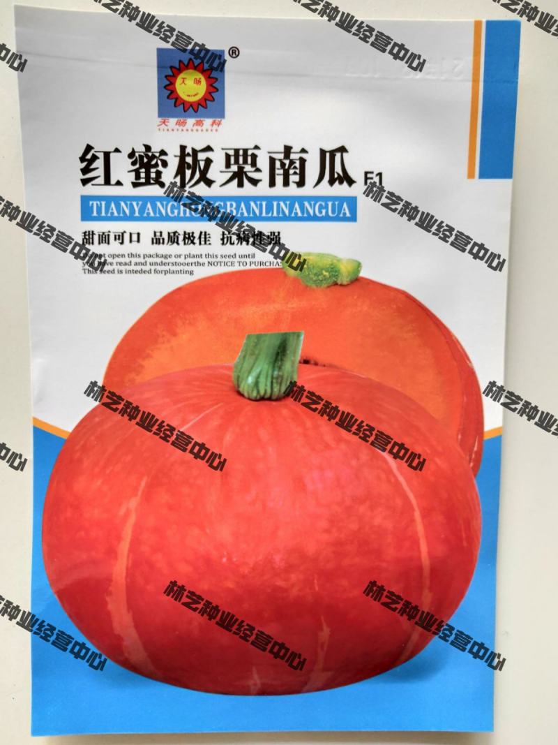 高产红蜜板栗南瓜种子贝贝南瓜种籽春秋季香甜糯四季蔬菜