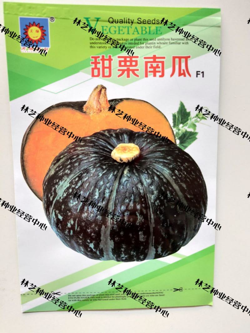 甜栗南瓜种子高产小南瓜甜面香糯甘面四季春季蔬菜种子