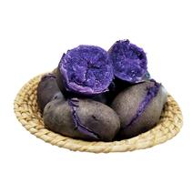 蔬菜土豆，黑土豆，紫土豆，彩色马铃薯黑金刚土豆