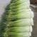 白帽蒜苔，苔长60公分干苔，产地直供，对接电商、市场等