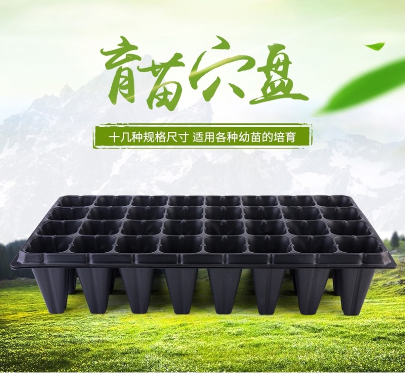 育苗盘穴盘苗盘黄瓜育苗盘西红柿育苗盘大棚塑料托盘厂家供应