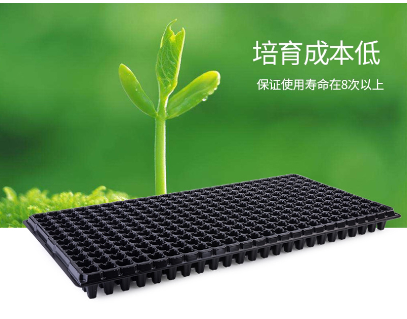 育苗盘穴盘苗盘黄瓜育苗盘西红柿育苗盘大棚塑料托盘厂家供应