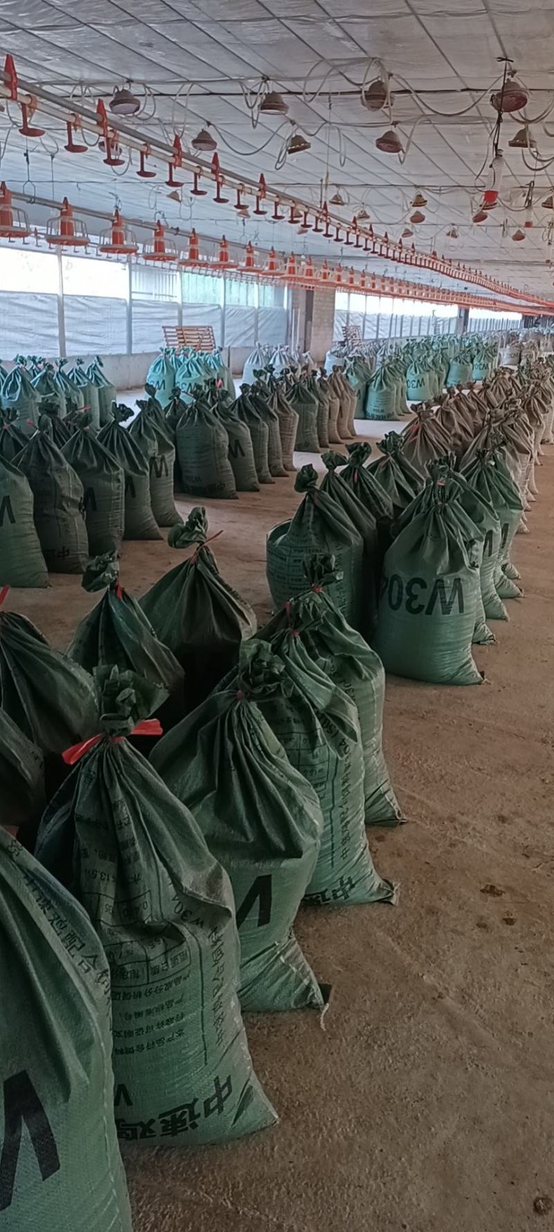 鸡粪长期有货出售，基地直供诚信经营有需要的电话联系