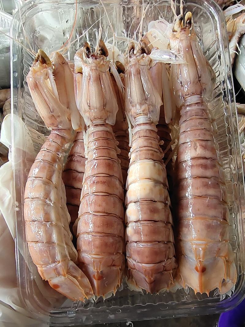 皮皮虾/爬爬虾/赖尿虾，活煮速度冻，口感鲜甜
