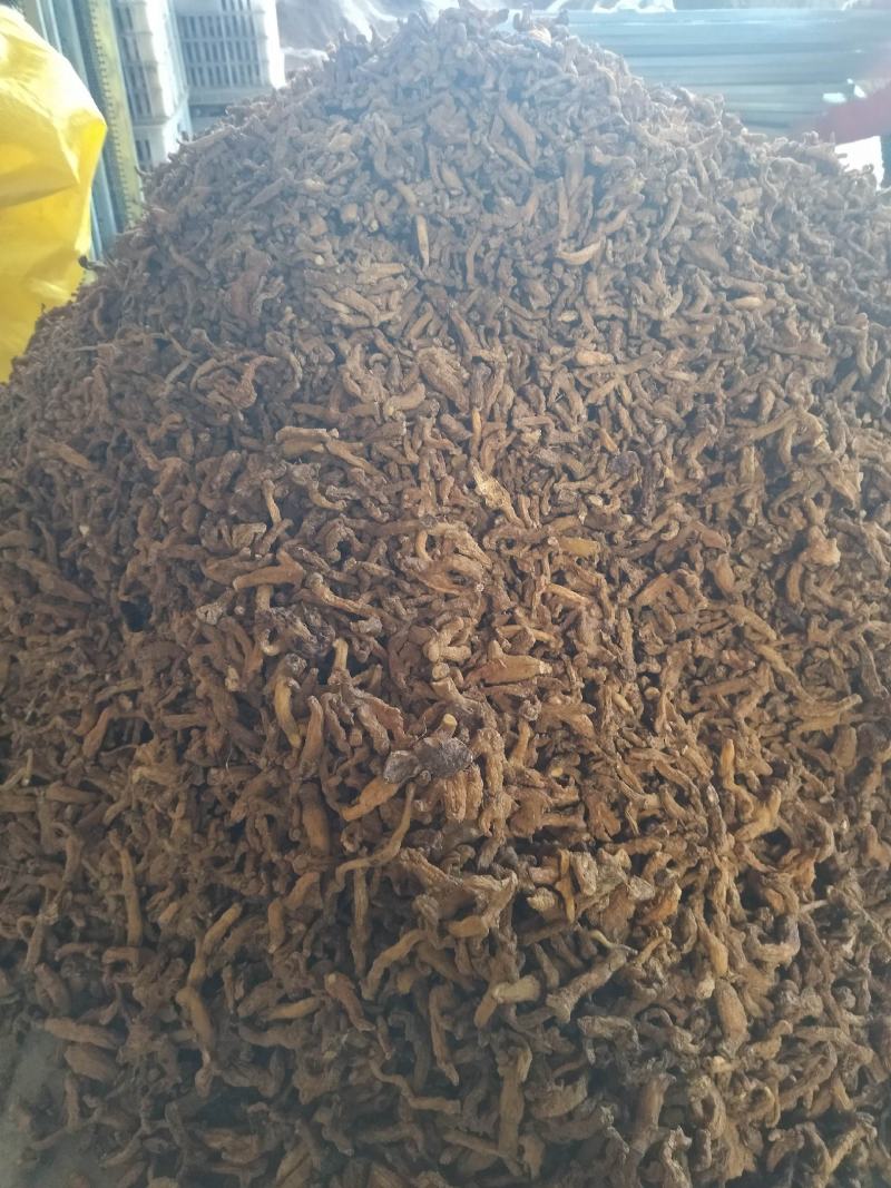 多花姜型倒苗黄精干货纯无硫黄精干黄精个子黄精生切片