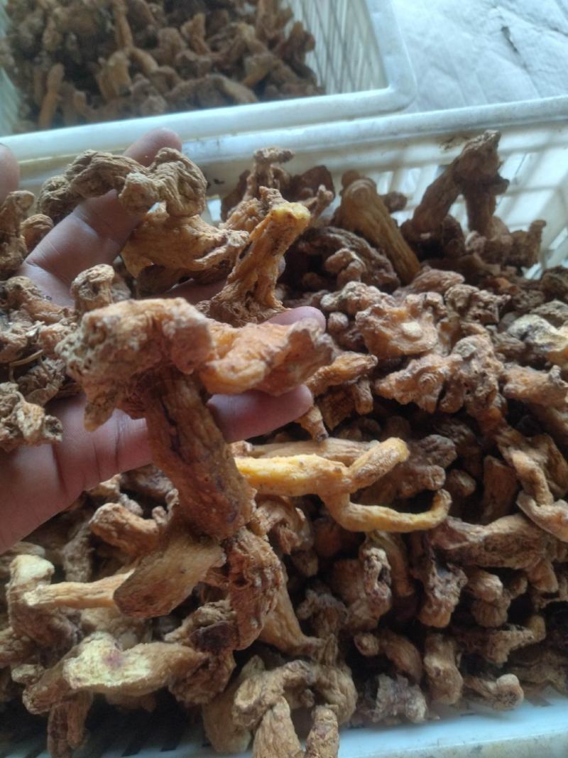 多花姜型倒苗黄精干货纯无硫黄精干黄精个子黄精生切片