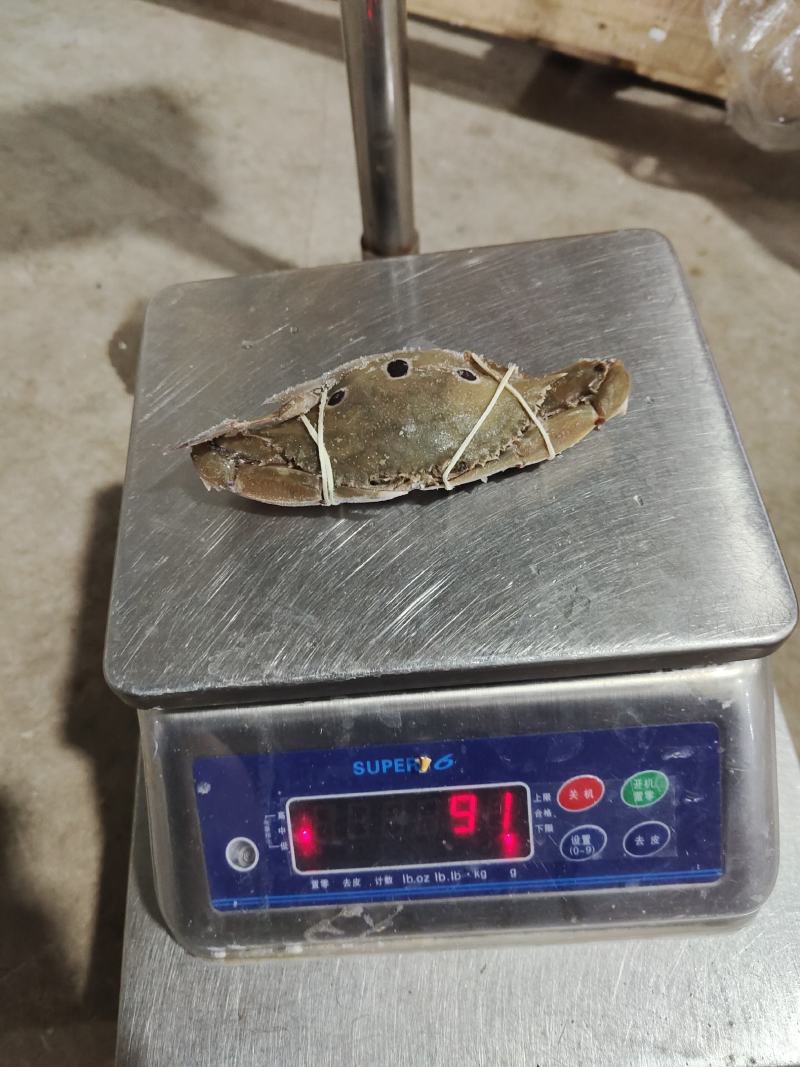 三点蟹8KG自助餐产品