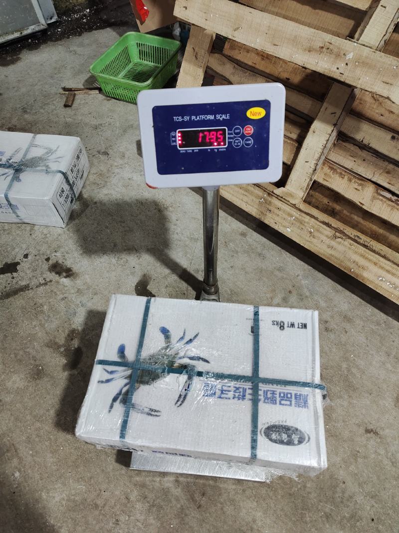 三点蟹8KG自助餐产品