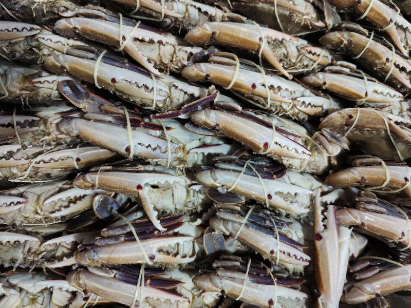 三点蟹8KG自助餐产品