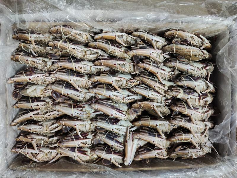 三点蟹8KG自助餐产品