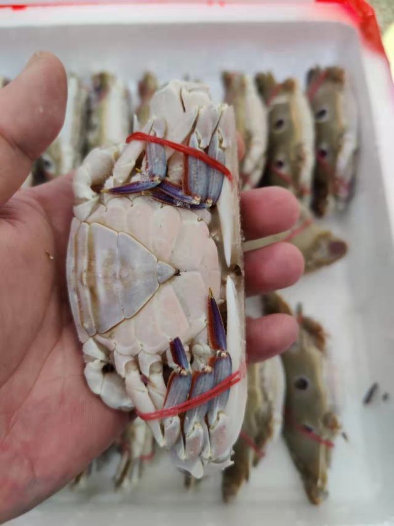 三点蟹4KG泡沫箱装