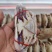 三点蟹4KG泡沫箱装