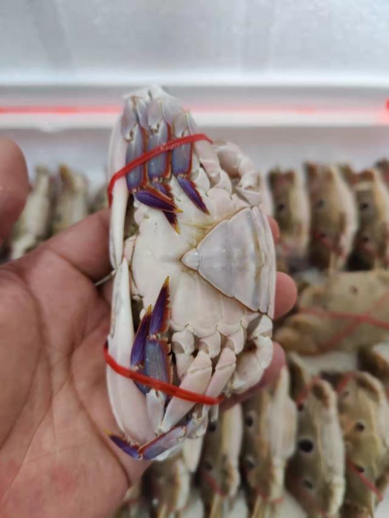 三点蟹4KG泡沫箱装
