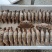 三点蟹4KG泡沫箱装