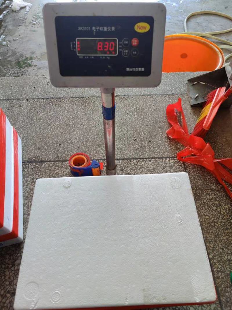 三点蟹4KG泡沫箱装