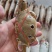 三点蟹4KG泡沫箱装