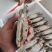 三点蟹4KG泡沫箱装