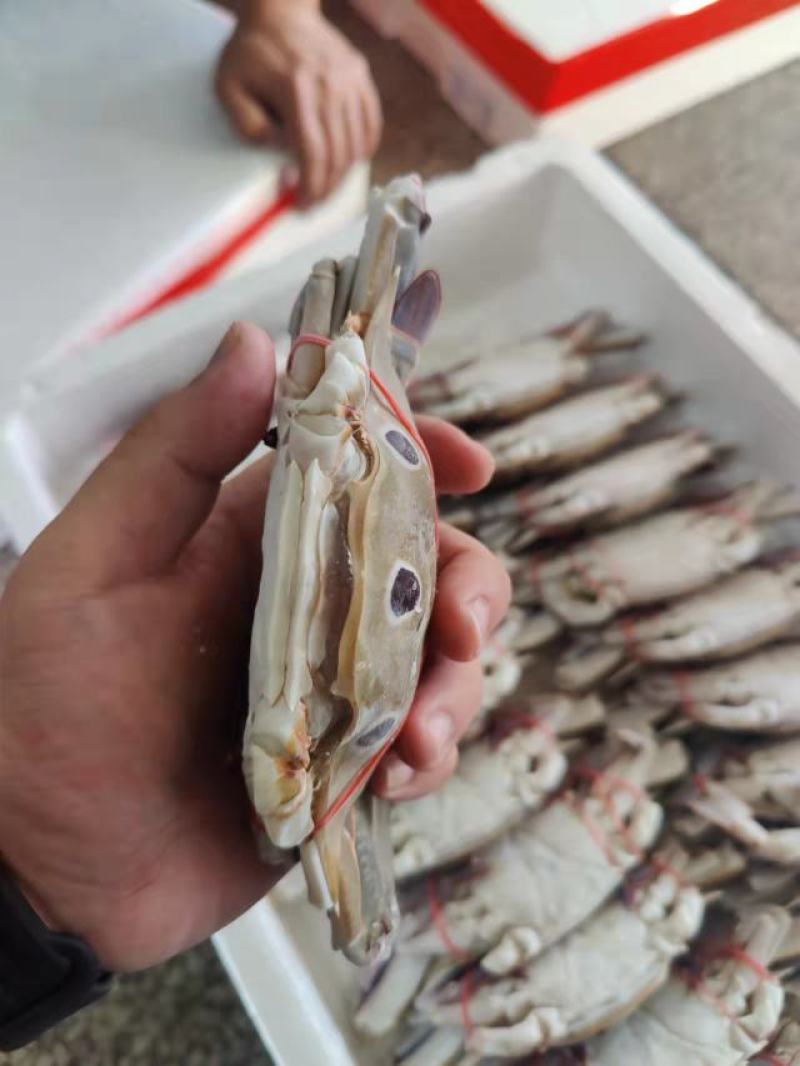 三点蟹4KG泡沫箱装