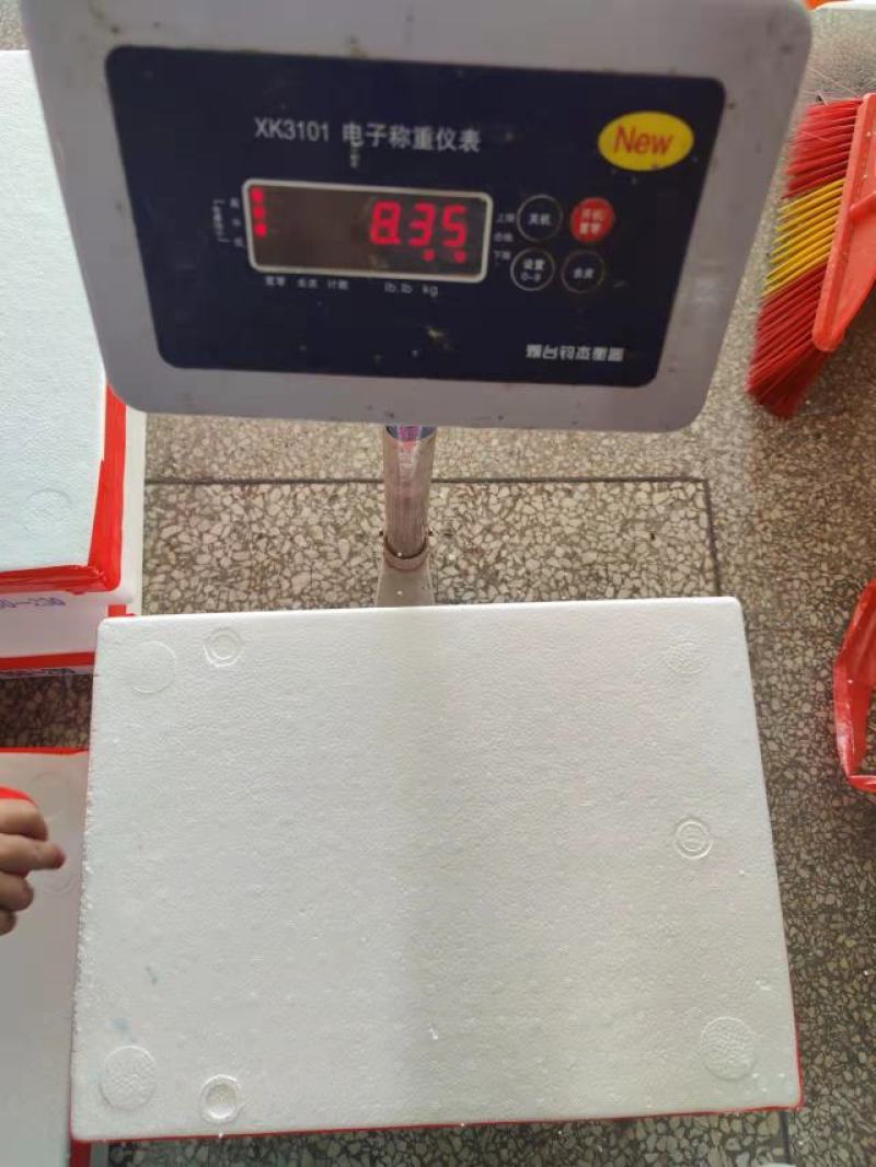 三点蟹4KG泡沫箱装