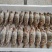 三点蟹4KG泡沫箱装